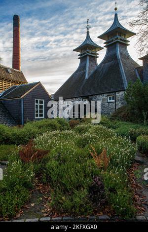 Strathisla distillery in Speyside, Dufftown, United Kingdom Stock Photo