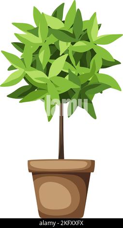 Decorative green tree. Houseplant in a pot isolated on a white background. Vector illustration Stock Vector