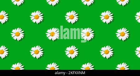 Chamomiles - Seamless floral pattern. White daisy flowers on grass green background Stock Photo