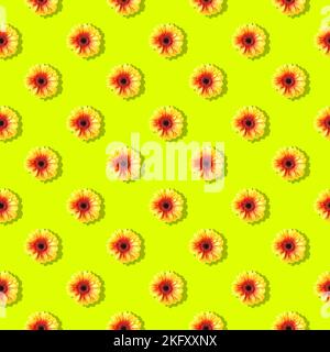 Gerbera flowers seamless on yellow background.  Flat lay floral pattern Stock Photo