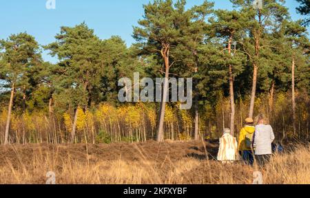 family walks in fall forest near utrecht on utrechtse heuvelrug Stock Photo