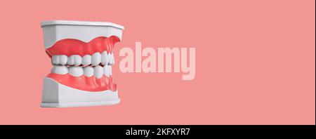 Teeth of artificial jaw side view on pink dentistry banner, background for dental care ad, promo. High quality photo Stock Photo