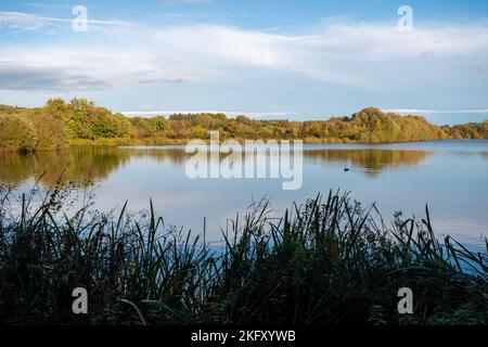 Moor Green Lakes Nature Reserve in Blackwater Valley, Berkshire, England, UK. View of the lakes created by restoring old gravel extraction pits Stock Photo