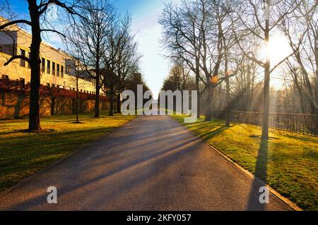 Shadow alley in early spring in Stadtschloss park in Fulda, Hessen, Germany. Stock Photo