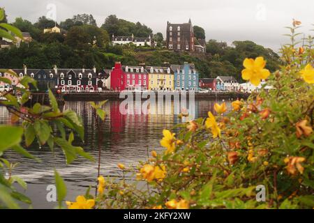 A view across the sea front at Tobermory, Mull, Scotland showing the colourful row of houses along the harbour wall and steep hill behind Stock Photo