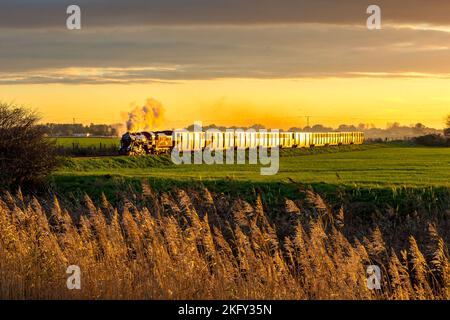 15' Gauge Steam Locomotive Winston Churchill heads away from the setting sun towards Hythe from New Romney with the last train of the day. Stock Photo