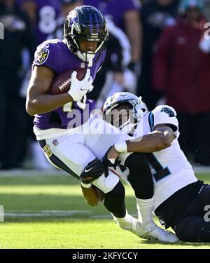 Carolina Panthers safety Jeremy Chinn plays against the New England Patriots  during the second half of an NFL football game Sunday, Nov. 7, 2021, in  Charlotte, N.C. (AP Photo/Jacob Kupferman Stock Photo 