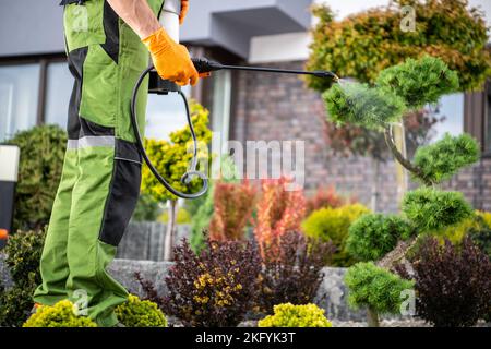 Closeup of Professional Gardener Applying Pest-Control Chemicals on Plants. Garden Care and Maintenance Theme. Stock Photo