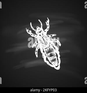 The white silhouette of the beetle crum painted a gel pen on black background Stock Vector