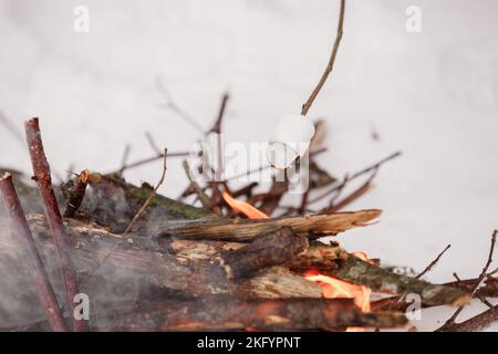Marshmallow on a wooden stick being roasted over a camping fire in the winter forest snow on the background. Family vacation. Winter holiday Stock Photo