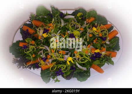 A Look at life in New Zealand: edible flowers decorate a healthy, fresh garden salad. I do eat well. Stock Photo