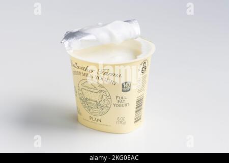 A cup of Bellwether Farms plain full-fat sheep milk yogurt isolated on a white background. Stock Photo