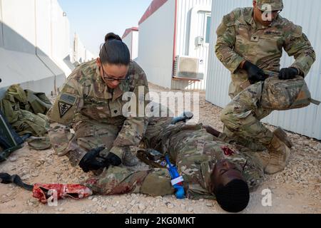 U.S. Army Spc. Chelin Wright, with the 169th Medical Detachment Veterinary Services cuts the uniform of a training casualty, during a Tactical Combat Casualty Care course at Prince Sultan Air Base, Kingdom of Saudi Arabia, Oct. 20, 2022. During the TCCC training, Soliders practiced combat life saving techniques during a simulated casualty scenario. Stock Photo