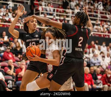 South Carolina forward Ashlyn Watkins shoots against Hampton during the ...