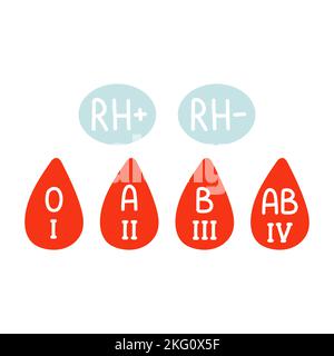 Blood donor, blood types, blood groups, rhesus-factor drops. Hand drawn Vector illustrations. Donate Blood Stock Vector