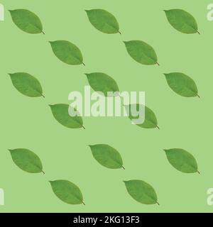 3D Leaf Pattern Background Stock Vector