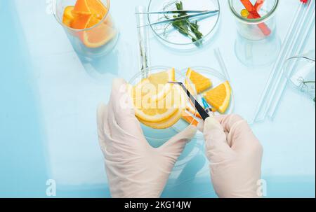 Laboratory glassware with plants and citrus fruits. top view, copy space Stock Photo