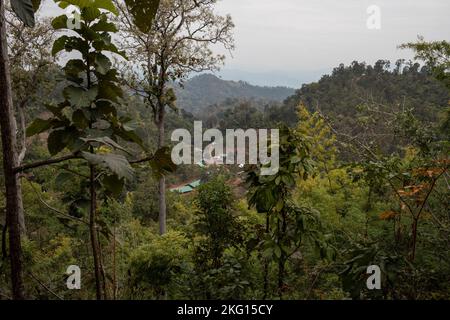 An internally displaced family recently arrives to safety after a five-day walk in a forested area on January 15, 2022, close to the border of Thailan Stock Photo