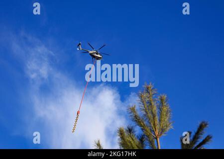 Heliwest helicopter and aerial saw for trimming trees by power lines against sky. Pine tree top on the foreground, defocused. Salo, Finland. February Stock Photo