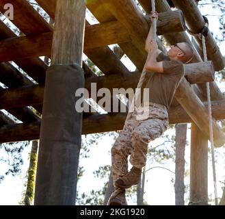 Recruits with Oscar Company, 4th Recruit Training Battalion, maneuver through obstacles on the confidence course aboard Marine Corps Recruit Depot Parris Island, S.C., Oct. 20, 2022. The confidence course consists of various obstacles that challenges recruits both physically and mentally. Stock Photo