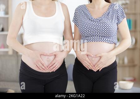 two pregnant girlfriends holding on to belly hands in heart-shaped Stock Photo