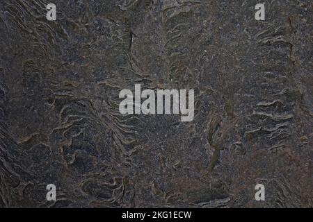 Elegant luxury dark multicolored background with vintage grunge texture. Stock Photo