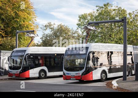 electric buses of the Koelner Verkehrs-Betriebe KVB at a charging station on Alfred-Schuette-Allee in the district Poll, Cologne, Germany. Elektrobuss Stock Photo