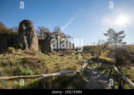 rock pillar of the Stenzelberg mountain in the Siebengebirge hill range near Koenigswinter, the mountain served as a quarry for quartz latite until th Stock Photo