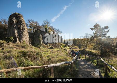 rock pillar of the Stenzelberg mountain in the Siebengebirge hill range near Koenigswinter, the mountain served as a quarry for quartz latite until th Stock Photo