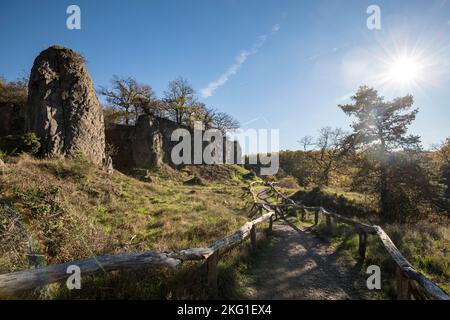 rock pillar of the Stenzelberg mountain in the Siebengebirge hill range near Koenigswinter, the mountain served as a quarry for quartz latite until th Stock Photo