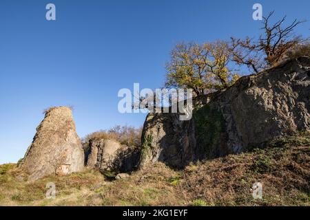 rock pillar of the Stenzelberg mountain in the Siebengebirge hill range near Koenigswinter, the mountain served as a quarry for quartz latite until th Stock Photo