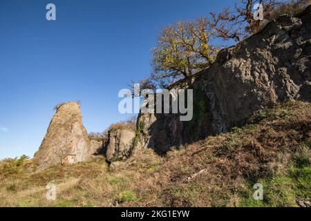 rock pillar of the Stenzelberg mountain in the Siebengebirge hill range near Koenigswinter, the mountain served as a quarry for quartz latite until th Stock Photo