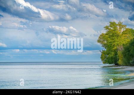 landscape, sandy beach with trees and water, coastline Stock Photo