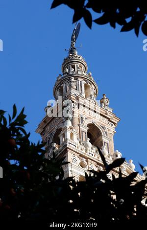 Seville Cathedral.  The Almohad decoration of the main section of the Giralda tower. Spain. Stock Photo