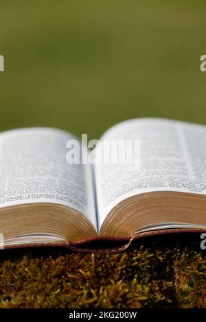 Open bible on a rock with moss. Stock Photo