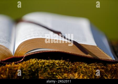 Open bible on a rock with moss. Stock Photo