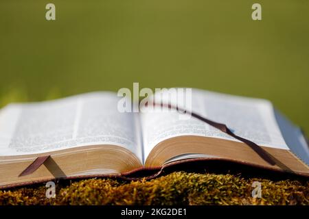 Open bible on a rock with moss. Stock Photo