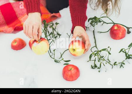 Close up red apples lying in snow concept photo Stock Photo