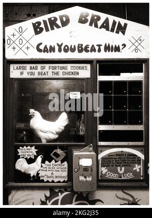 The Tic Tac Toe playing chicken at an arcade in Chinatown manhattan circa 1975. Stock Photo