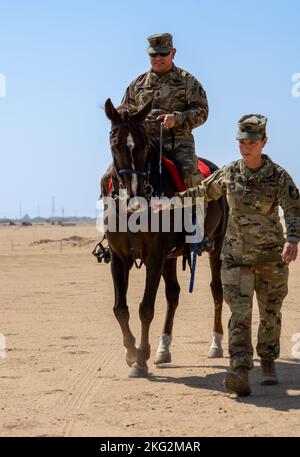 U.S. Army Command Sgt. Maj. Ernesto Castillo, senior enlisted advisor to the commander of the 36th Sustainment Brigade, rides a horse led by Col. Carrie Perez, commander of the brigade, during a meeting with Kuwait Col. Abdullah Hamed Al-Masamah, border operations commander, Kuwait, Oct. 25, 2022. The 369th Sustainment Brigade, also known as the Harlem Hellfighters, will relieve the 36th Sustainment Brigade and assume their duties supporting partners in the region as the expeditionary sustainment brigade with the 1st Theater Sustainment Command. Stock Photo