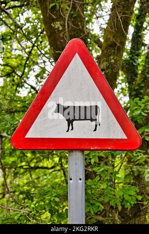 Warning sign with a cow wich means there is livestock in the area Stock Photo