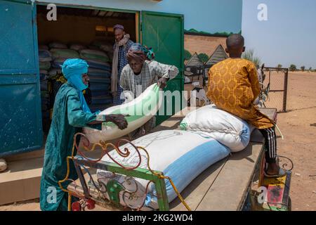 Loading of livestock food by members of a dairy farmers' cooperative in Northern Senegal Stock Photo