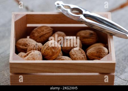 Fresh walnuts with silver nutcracker. Stock Photo