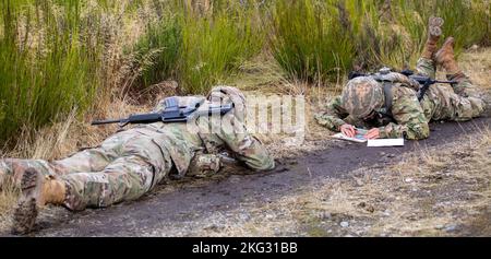 U.S. Army 1st Lt. Austin Pinkerton and 1st Lt. Molly Murphy plot points on their maps during the day land navigation event as part of Medical Readiness Command, Pacific's Fiscal Year 2023 Best Medic Competition, Oct. 28, 2022 at Joint Base Lewis-McChord, Wash. Eight top Soldiers from across MRC,P competed in ten events over three days including a 15-mile ruck march, water survival tests, marksmanship, combat casualty care, and more. Stock Photo