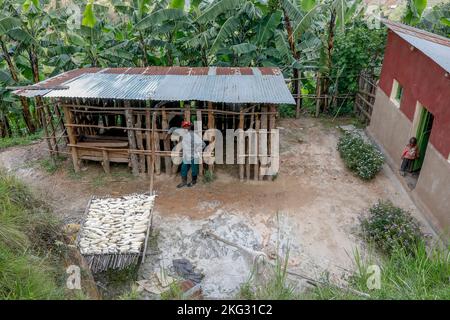 Member of Abakundakawa coffee grower's cooperative in his house in Gakenke district, Rwanda Stock Photo