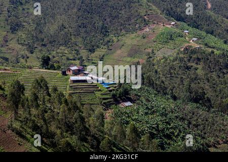 Abakundakawa coffee grower's cooperative, Minazi coffee washing station, Gakenke district, Rwanda Stock Photo