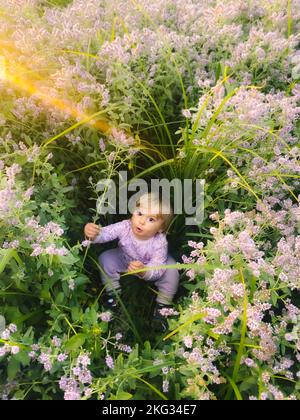 Baby girl in a field in flowers of wild mint. One-year-old child in the village Stock Photo
