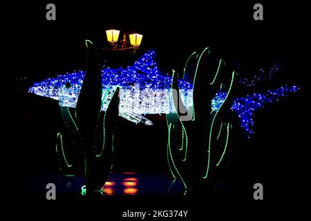 Christmas lights in the shape of a shark, during the Christmas event called 'fairy tales of light'which was held in the city of Gaeta. Credit: Vincenzo Izzo/Alamy Live News Stock Photo