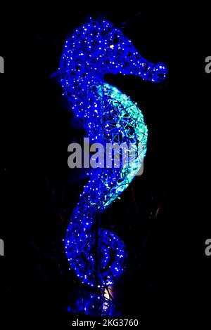 Christmas lights in the shape of a blue seahorse, during the Christmas event called 'fairy tales of light'which was held in the city of Gaeta. Credit: Vincenzo Izzo/Alamy Live News Stock Photo