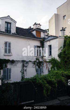 Old wooden windows covered by green ivy Stock Photo - Alamy